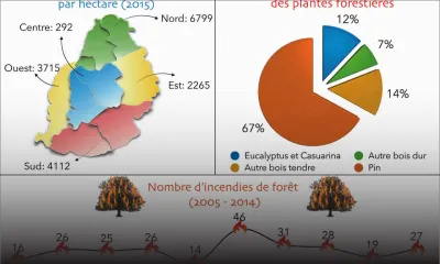 La situation de nos fôrets