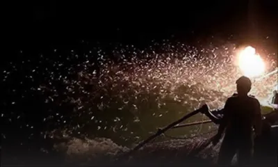 Taïwan: des torches de feu pour pêcher