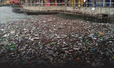 Journée internationale sans plastique : quel constat à Maurice ? 