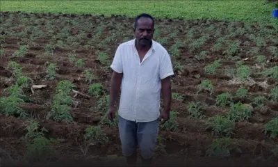 Dhaneswar Lutchmun, planteur : «On m’arrache mon gagne-pain sans préavis»