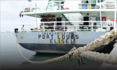 Faux certificats : un capitaine et des marins interpellés