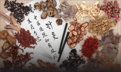 Vers une meilleure réglementation de la médecine traditionnelle