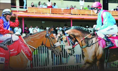 Maiden Cup 2017 : Enaad sur la route de Parachute Man