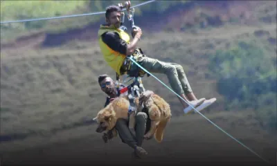 A la Vallée-des-couleurs : une chienne fait de la tyrolienne