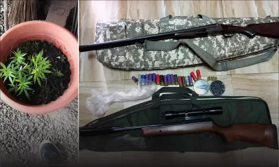 Melrose : deux carabines, des cartouches et du gandia saisis