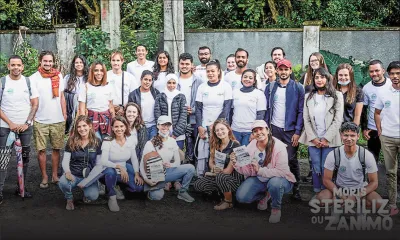 Animaux errants : une clinique de stérilisation mobile en projet