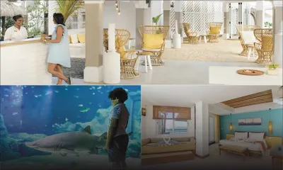 Defideal.mu : bons plans en solo ou en famille