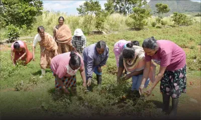 Métier : cultiver son amour pour la terre 