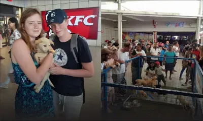 Journée mondiale des animaux : journée d’adoption et cérémonie religieuse organisées par la MSAW