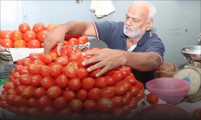 Marché des légumes : les Mauriciens profitent des prix bas avant la hausse attendue d’ici 15 jours 