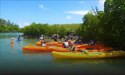 Activité nautique: petite virée en kayak