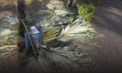 Le ramassage d’ordures décrié au jardin de Plaine-Verte