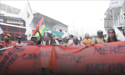 CLAIM propose la légalisation du cannabis sous toutes ses formes