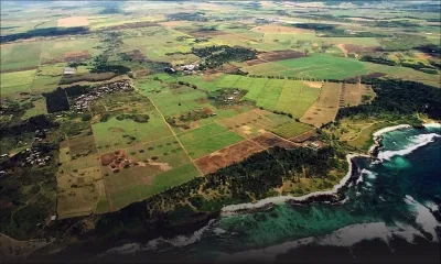 Sugar Investment Trust : levée de boucliers contre le projet de Smart City au Bouchon