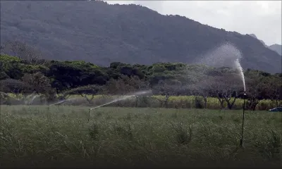 Industrie cannière : l’arrosage réduit à deux fois par semaine