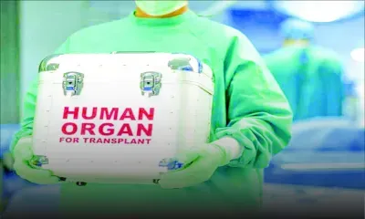 Projet de transplantation d’organes : l’aide d’experts étrangers sollicitée pour éviter tout trafic