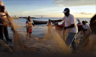 Allocation de mauvais temps : soupçons de pratiques frauduleuses de la part de pêcheurs fantômes