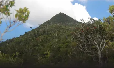 Projet immobilier à Rivière-Noire - Les Salines Peninsula : une première demande de permis EIA déposée