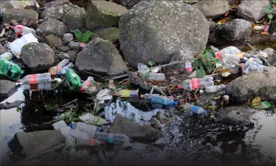 Bouteille PET : un nouveau règlement en cours de finalisation