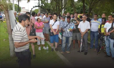 Abattage d’arbres : la résistance s’organise à la promenade Roland Armand
