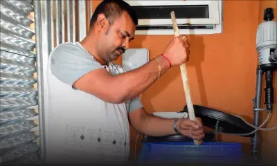 Culture hydroponique : les racines dans l’eau