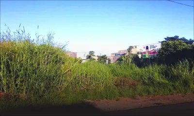 Pétition déposée à la mairie de Curepipe Floréal: un terrain abandonné, des voisins désemparés