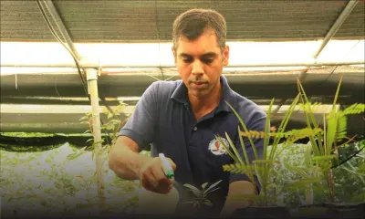 Pascal Sk Mucktoom,  l’homme à la main verte 