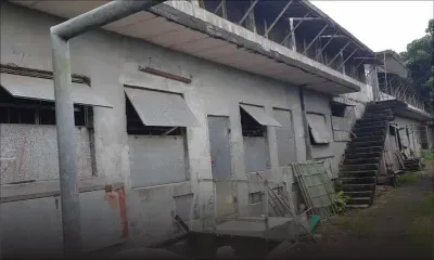 Carcasses de poulet flottant à La Nicolière : deux frères éleveurs interpellés