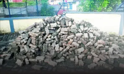 À Rivière-des-Anguilles : un laboureur vole... 2 000 briques  pour embellir sa cour