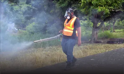 Dengue : trois cas importés répertoriés