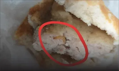 Surpris par des asticots dans son pain : elle veut poursuivre l’entreprise en cour