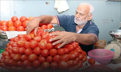 Mercuriale : les prix de certains légumes commencent à baisser