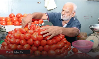 Conséquence des récentes pluies diluviennes : légère hausse des prix de la pomme d’amour