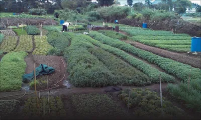 Attentes budgétaires - Agriculture: soutien financier et technique pour promouvoir la culture bio