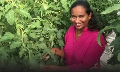 Samila Callychurn: la culture hydroponique pour une clientèle localisée