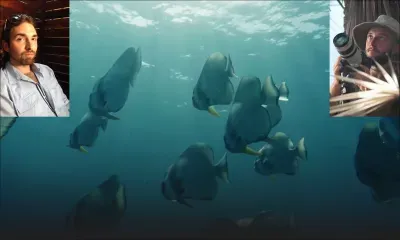 Documentaire : les frères Dittberner présentent la nature sauvage de Maurice