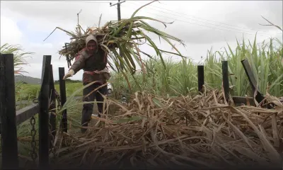 Industrie cannière : le plan de sauvetage fin prêt