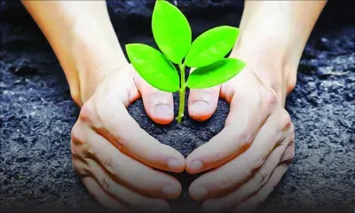 Plant-it Challenge : silence, ça pousse !