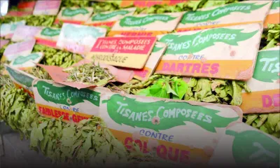 Hiver : les tisanes ont la cote