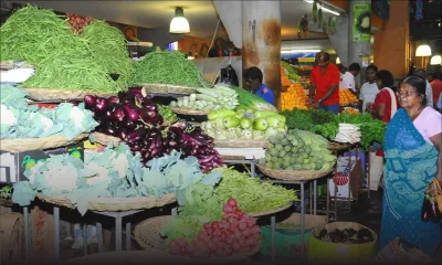 Prix des légumes : sous la barre de Rs 100