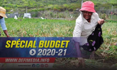 Budget 2020-2021 : un National Agri Food Development Program annoncé