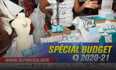 Budget 2020-21 - La DBM disposera de Rs 10 milliards pour venir en aide aux PME  