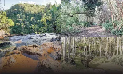 Sous le charme embrumé de Pétrin