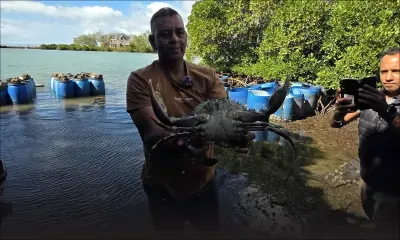 Khemraj Persand : les huîtres pour vocation, la cuisine pour passion