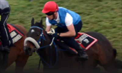 Maiden Cup - Un pot d’encre