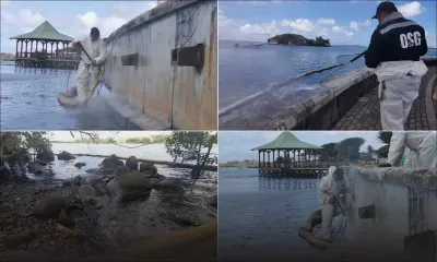 Wakashio : grand nettoyage de Pointe-d'Esny au Mahébourg Waterfront en passant par Rivière-des-Créoles 