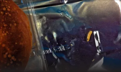 Sur un vol d’Air Mauritius: un asticot dans un plateau repas ?