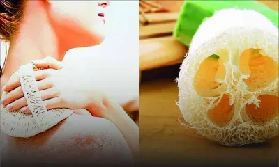 Le loofa : plus qu’un simple accessoire