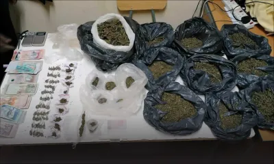 À Pointe-aux-Sables : du cannabis valant Rs 2,3 millions saisi