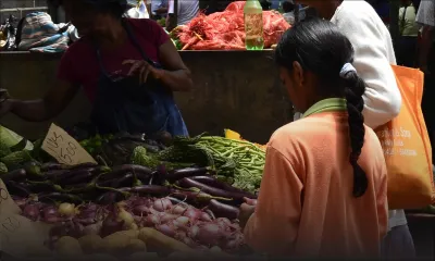 Alimentation: la Vegan Attitude des enfants
